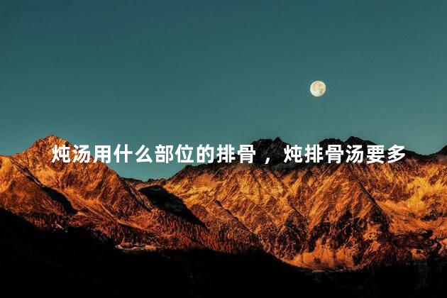 炖汤用什么部位的排骨 ，炖排骨汤要多久